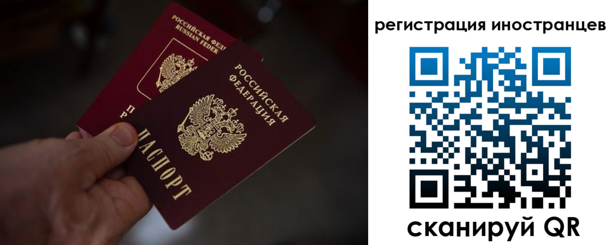 временная регистрация гарантия в Донском